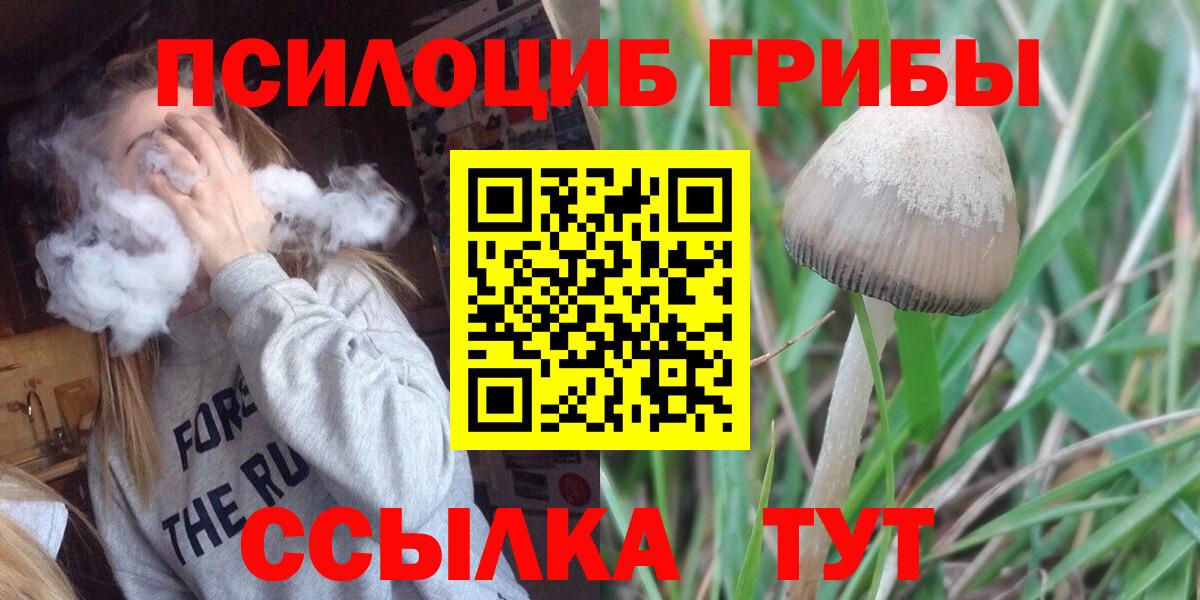Каменка  Псилоцибиновые грибы ЛСД  Вход с VPN 