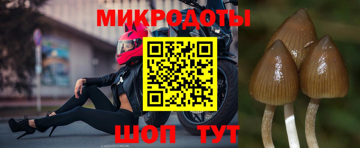 Гашиш Каменка